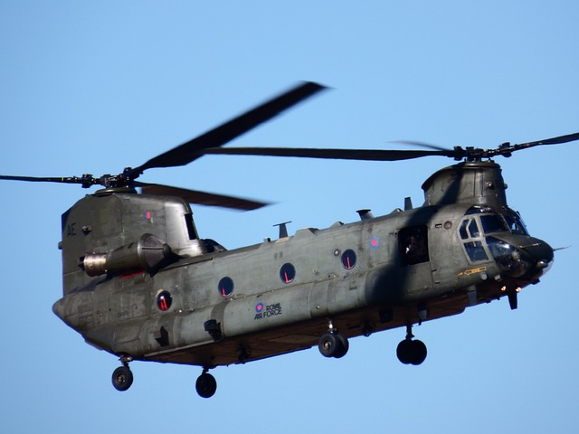 Chinook